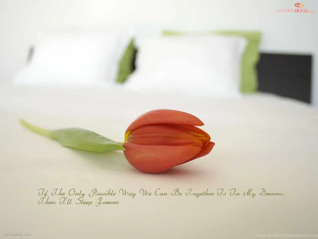 Beautiful Wallpapers Of Nature Screensavers With Quotes ...