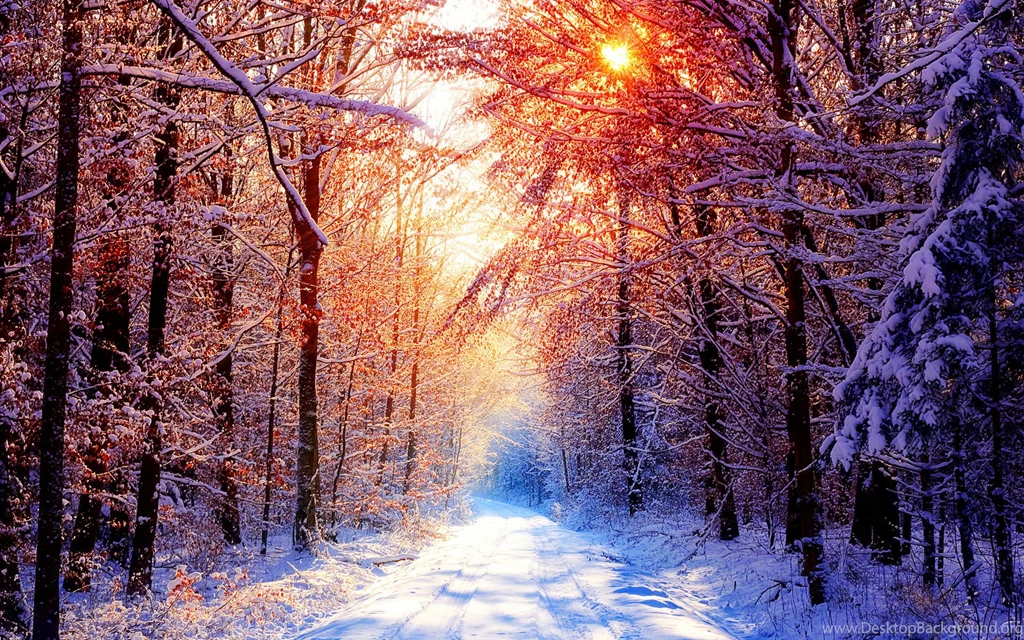 Winter Hd Wallpapers