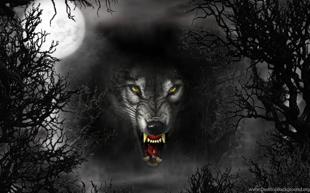 Black Wolf Wallpapers Wallpapers Cave