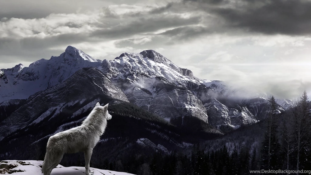 Wolf Computer Wallpapers, Desktop Backgrounds