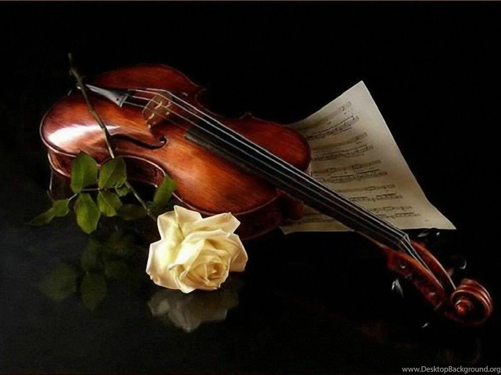 Happy Rose Day 2016 HD Wallpapers   Happy Valentine's Day 2016 ...