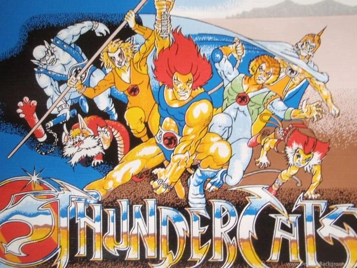 Rare 80s Vintage 5M THUNDERCATS WALLPAPER Jaga,Lion o ...