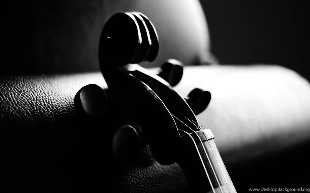 Violin Is An Instrument Wallpapers HD 8715
