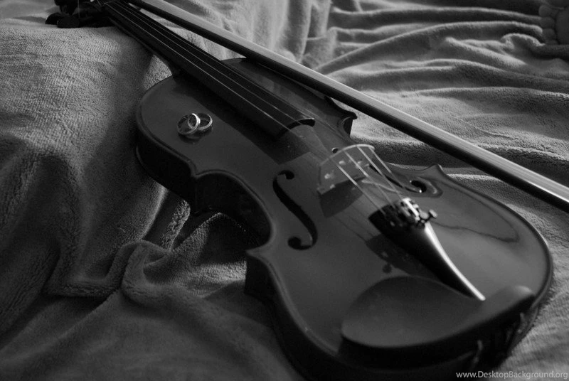 Black Violin Wallpapers Bing Images