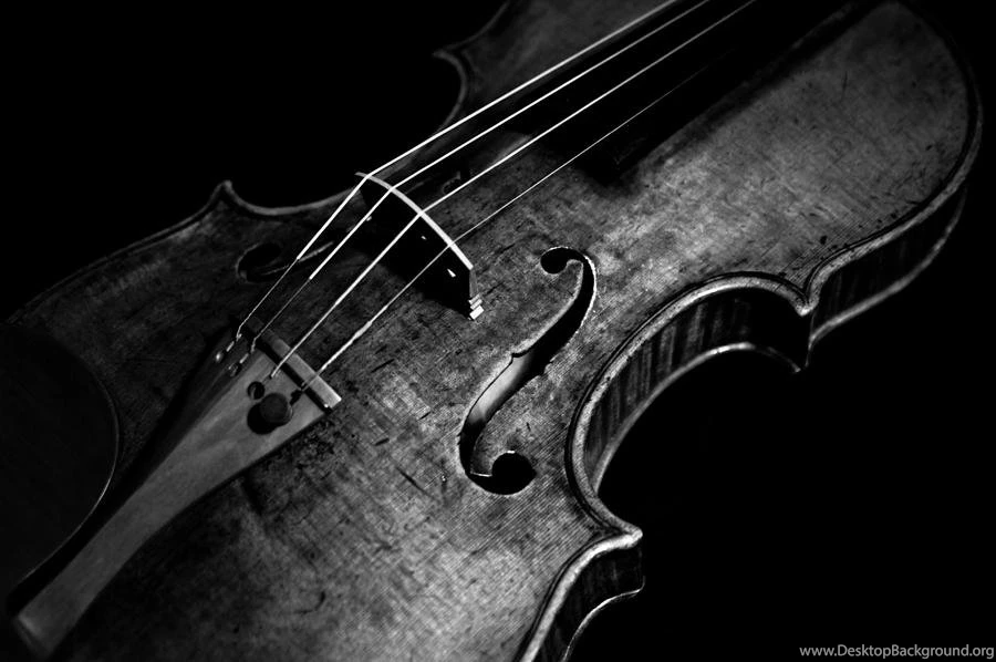 MAY YOUR SONG GUIDE YOU HOME