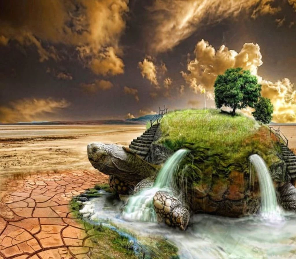 10 Tortoise Wallpaper Backgrounds   Desktop Wallpapers