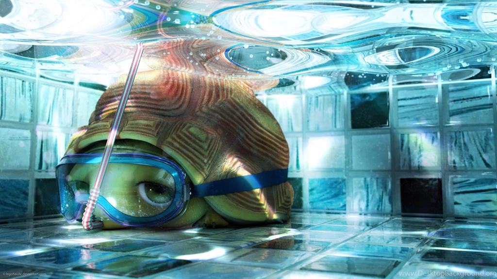 Download 1920x1080 Tortuga The Tortoise Wallpapers