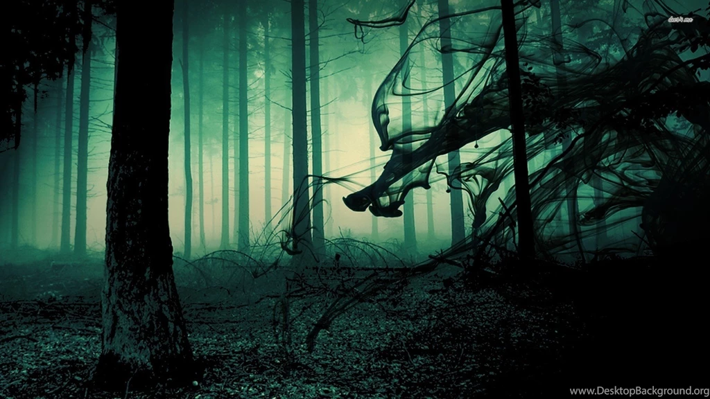 Creepy Forest Wallpapers   Nature Wallpapers