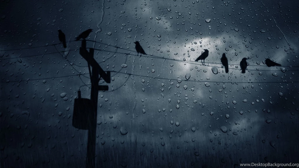 Creepy Crows Wallpapers