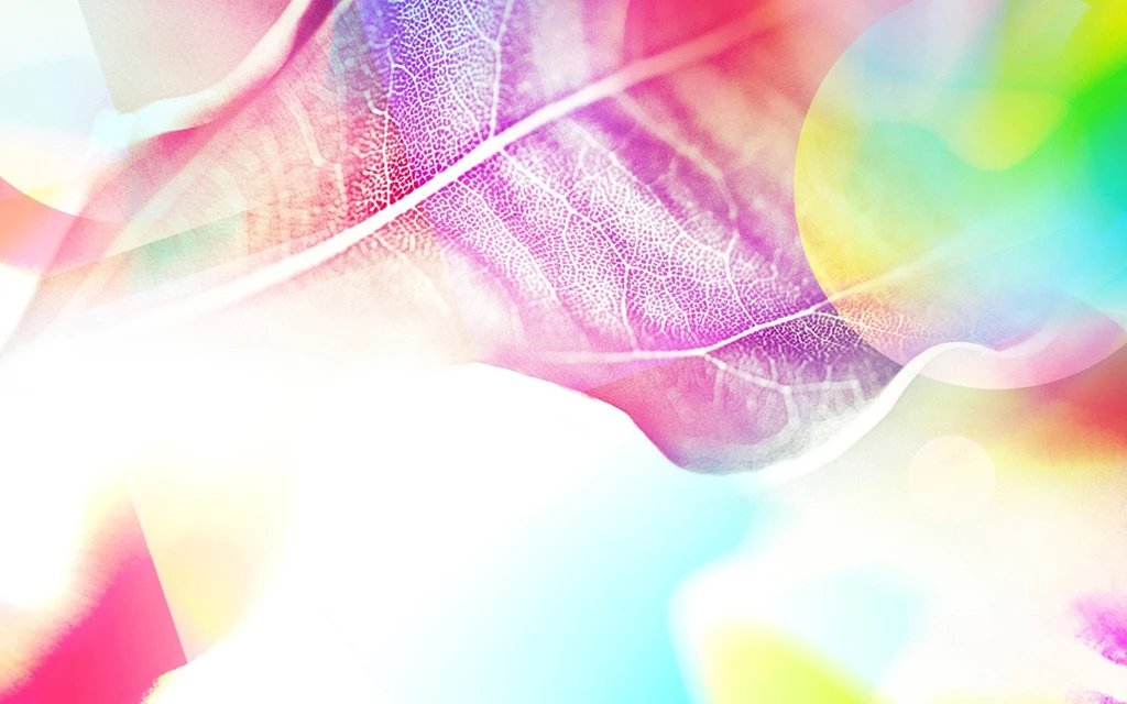 Rainbow_colours_of_sunshine_021 1440x900 Wallpapers 42张 Wallcoo.net