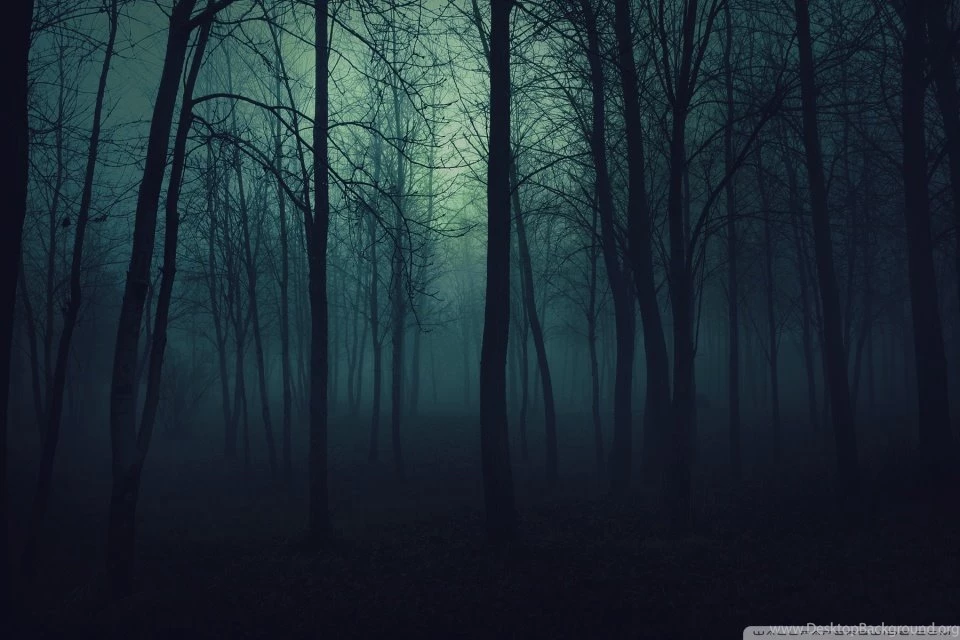 Dark Forest HD Desktop Wallpapers : High Definition : Fullscreen ...