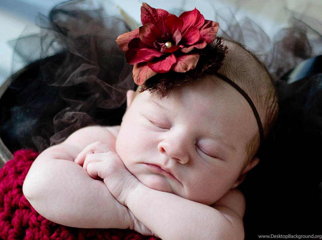 Cute Lovely Sweet Sleeping Angel Baby Photo