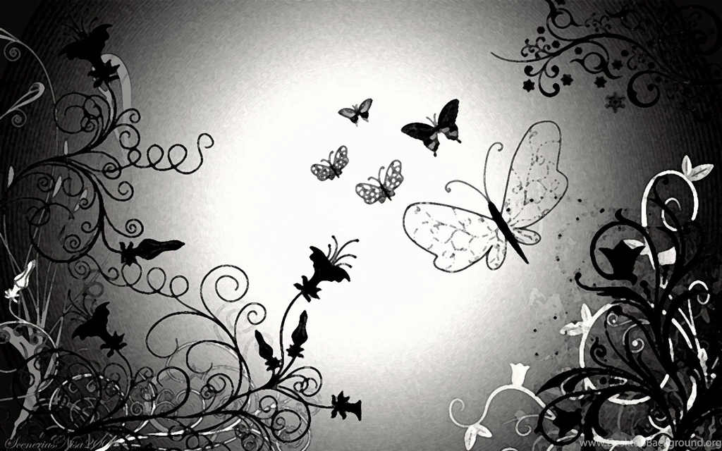 Black And White Butterfly Wallpaper HD.jpg