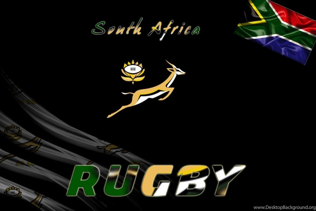 Springboks DeviantArt