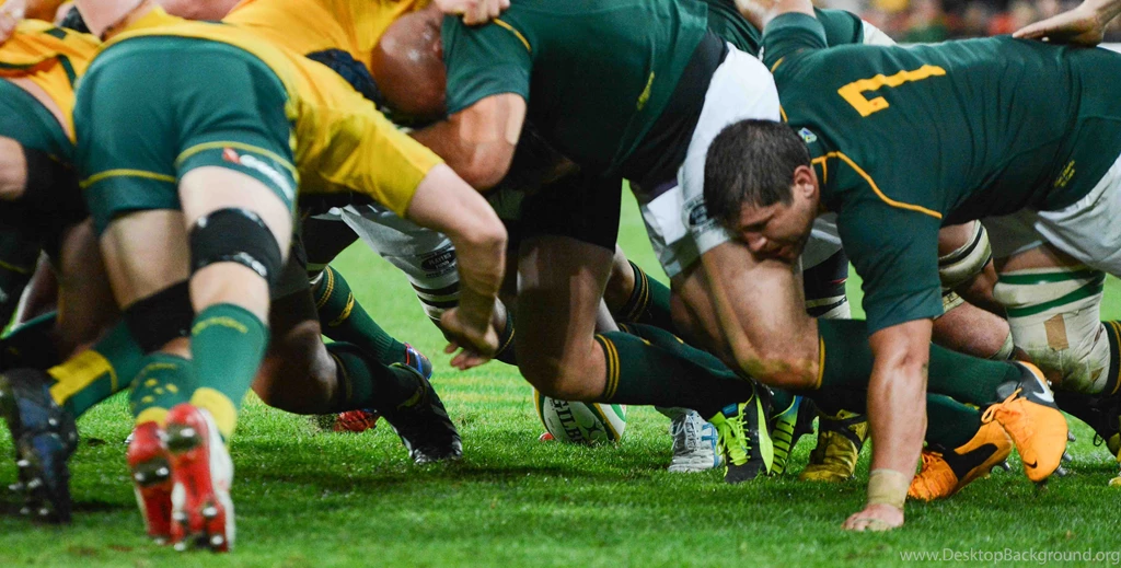 GAGR Wallaby Player Of The Year 2013: Rugby Championship   Green ...