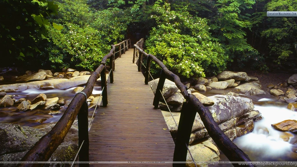 Footbridge And Rhododendrons, Great Smoky Mountains National Park ...