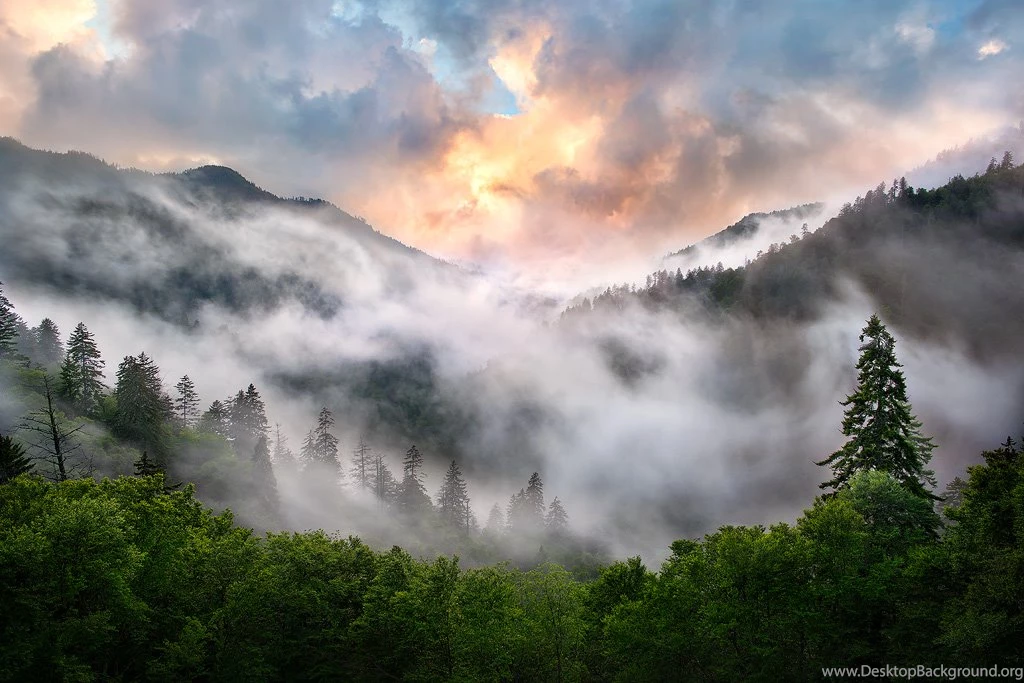 Smoky Mountain National Park Photos