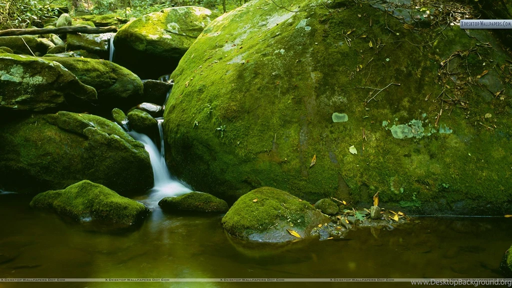 Mossy Boulder, Roaring Fork, Great Smoky Mountains National Park ...