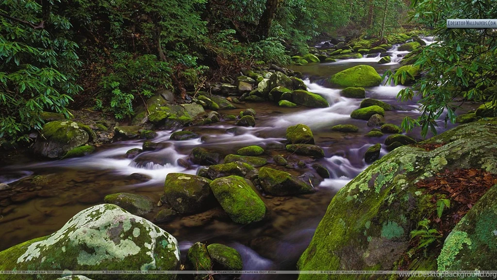 Mountain Stream, Great Smoky Mountains National Park, Tennessee ...