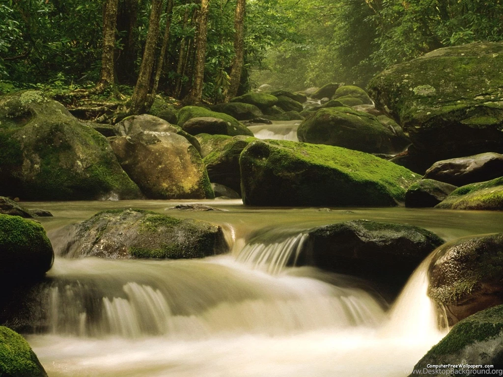 Great Smoky Mountains National Park, USA – Extreme Outdoor Hiking ...