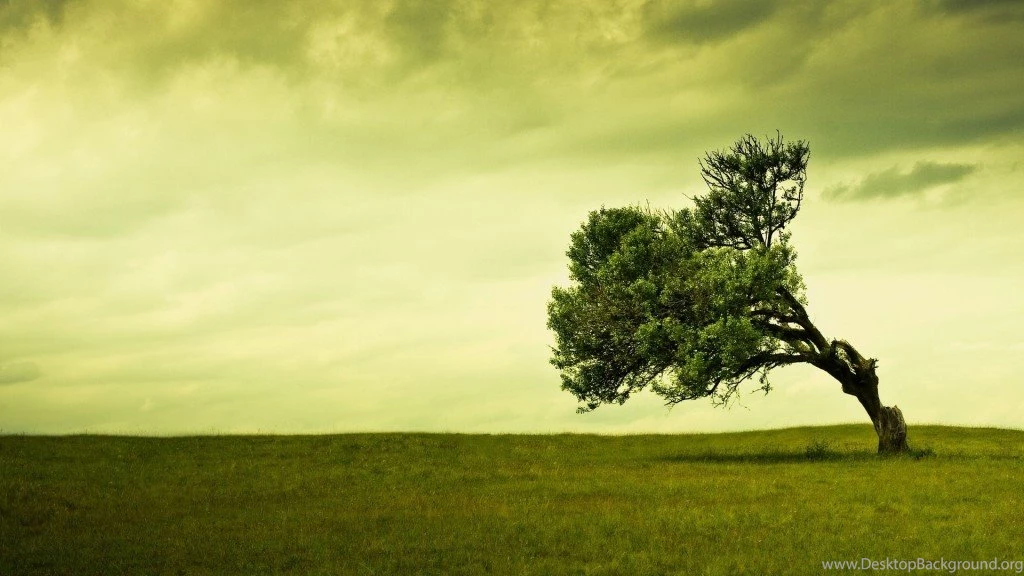 Most Beautiful Landscape HD Wallpapers TechBlogStop