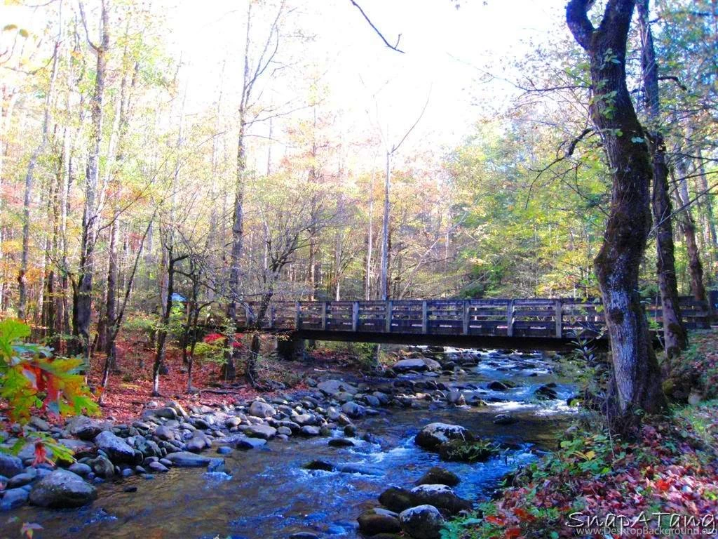 Great Smoky Mountains (id: 61074) – BUZZERG