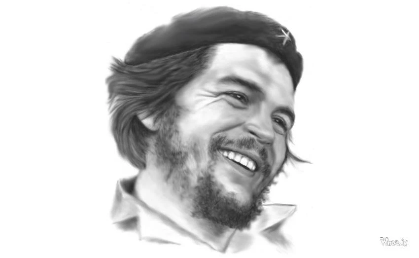 Che Guevara Face And Quotes With Red Backgrounds HD Wallpapers