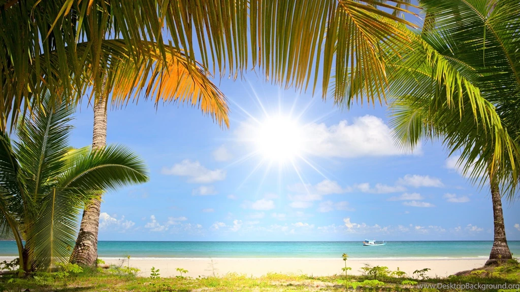 Palm Beach Wallpapers