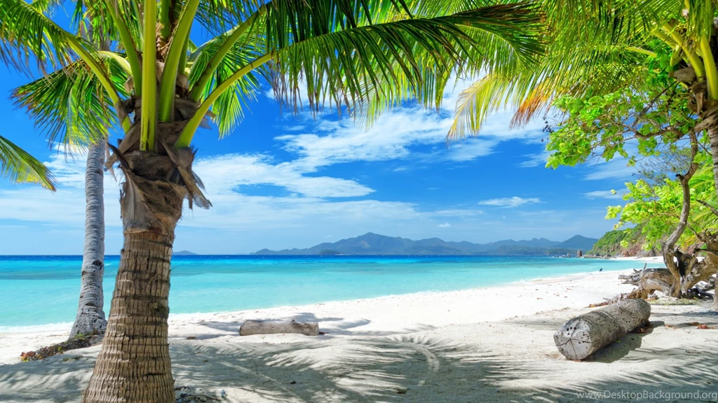 Download Wallpapers 3840x2160 Tropics, Beach, Sand, Palm Trees 4K ...