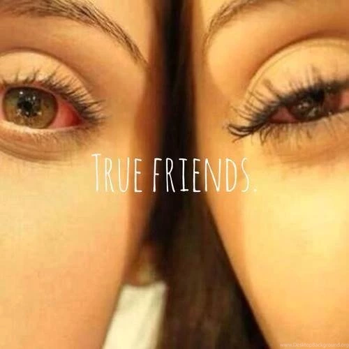 Smoking Buddy   Image