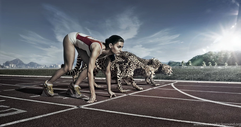 Sprint Against Cheetah Abstract HD Wallpapers