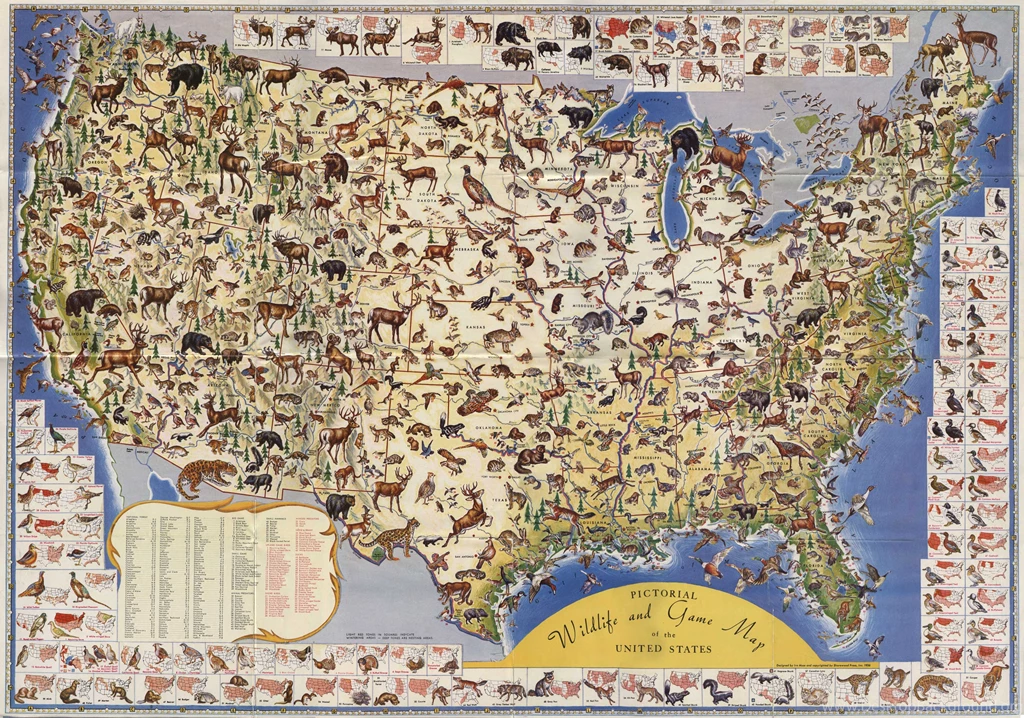 Maps: United States Map Wallpapers