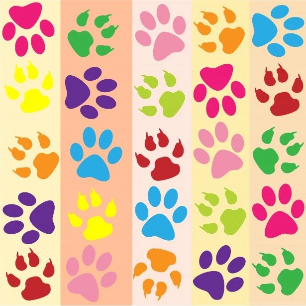 Paw Prints Colorful Wallpapers Free Stock Photo   Public Domain ...