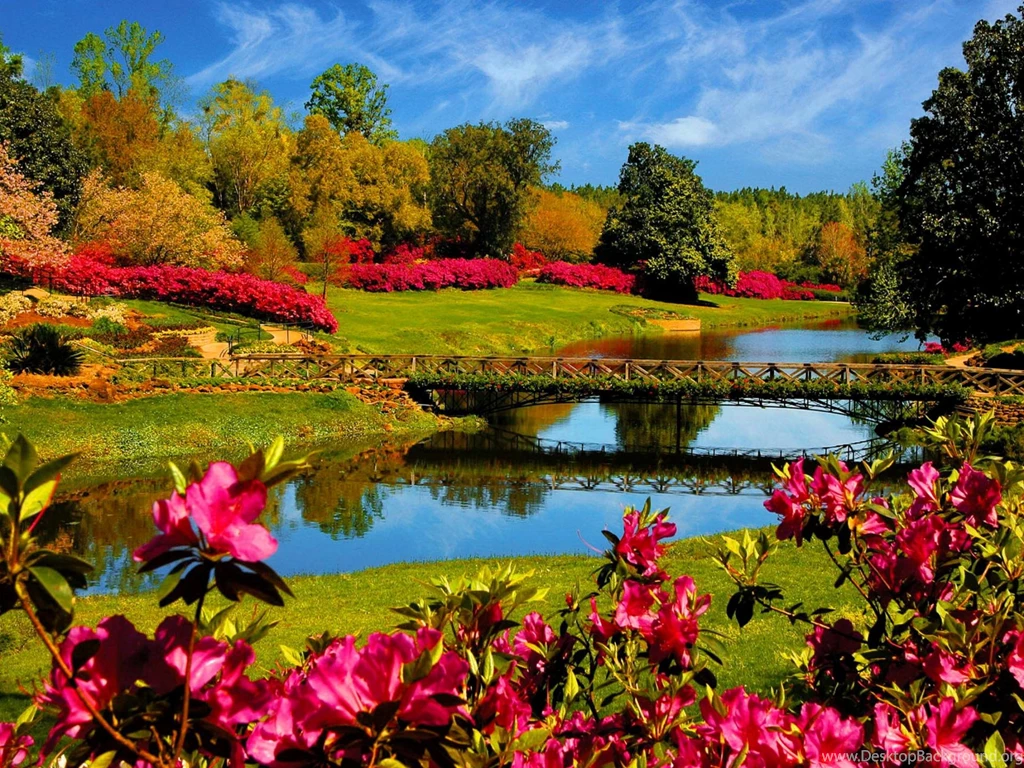 Jestingstock.com Colorful Nature Wallpapers Hd