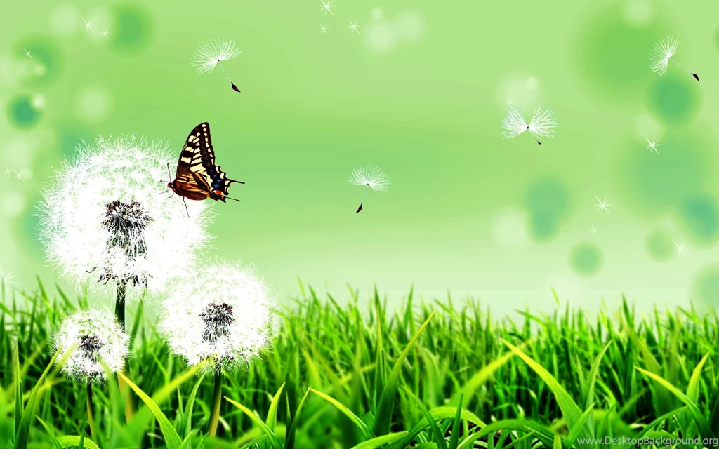 The Cute Wallpapers For Desktop Background: 3D By Free Download ...