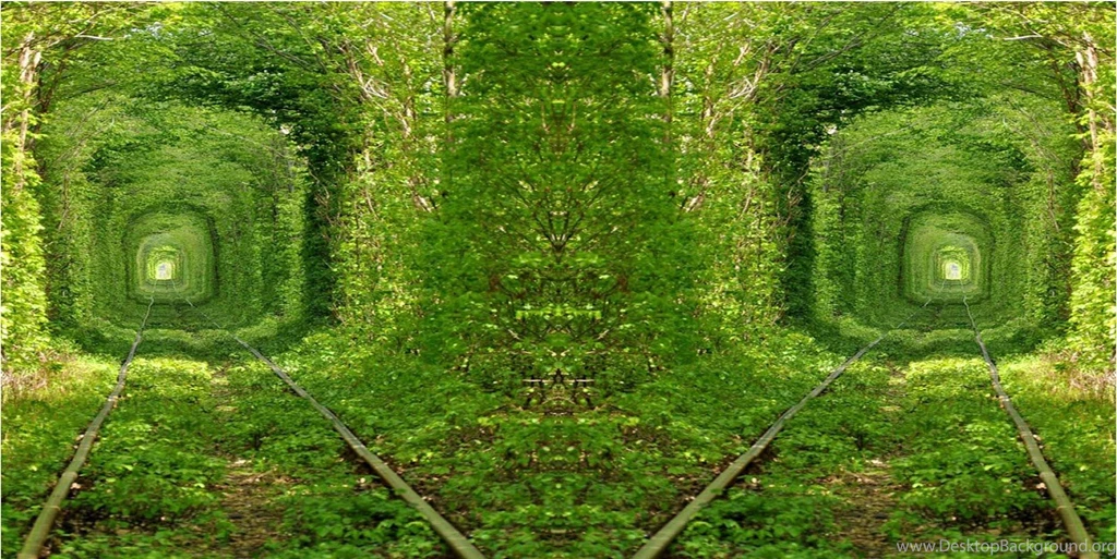 Beautiful Nature Beautiful Nature Jungle