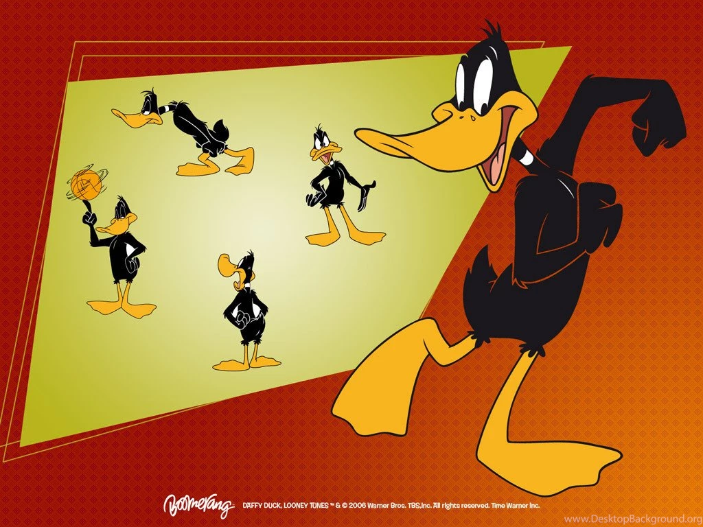 Daffy Duck Wallpapers Looney Tunes Wallpapers (5226651) Fanpop