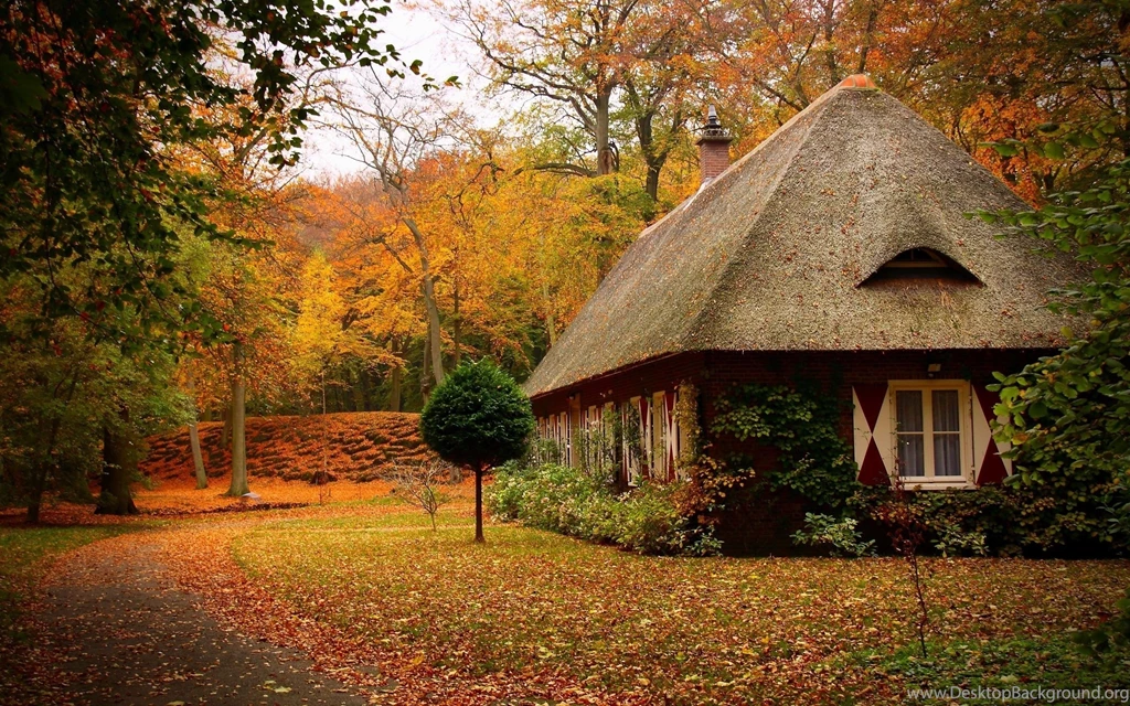 41 Beautiful House In The Woods Hd Wallpapers &raquo; Beautiful ...