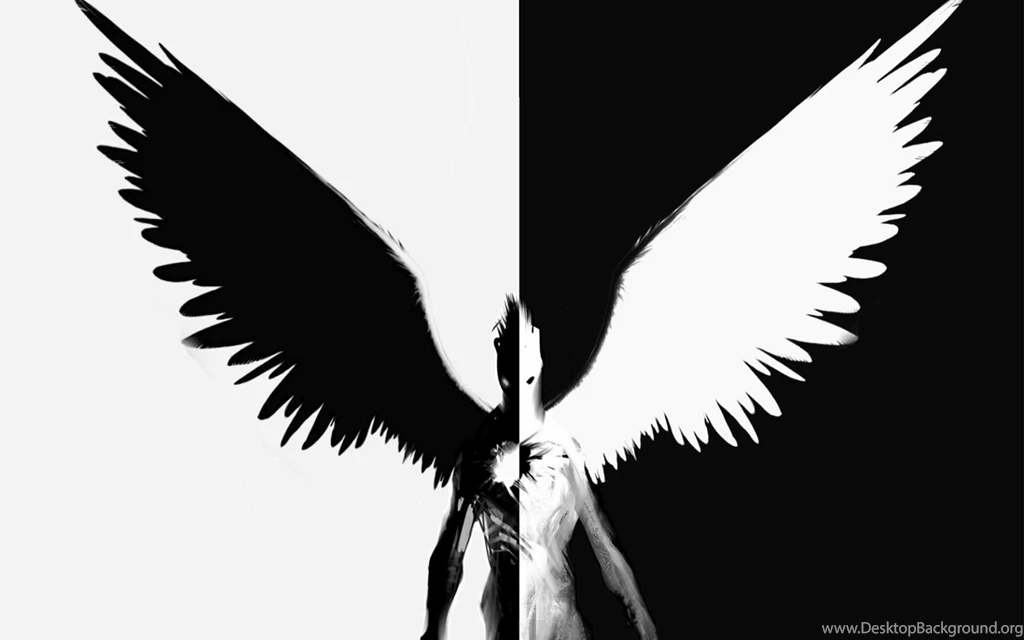 Half Angel, Half Demon Wallpapers 30581