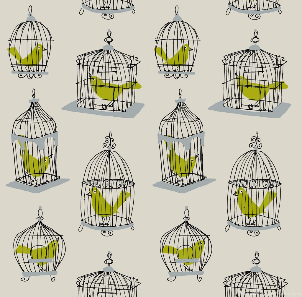 Birdcage Walk   Shelley Davies