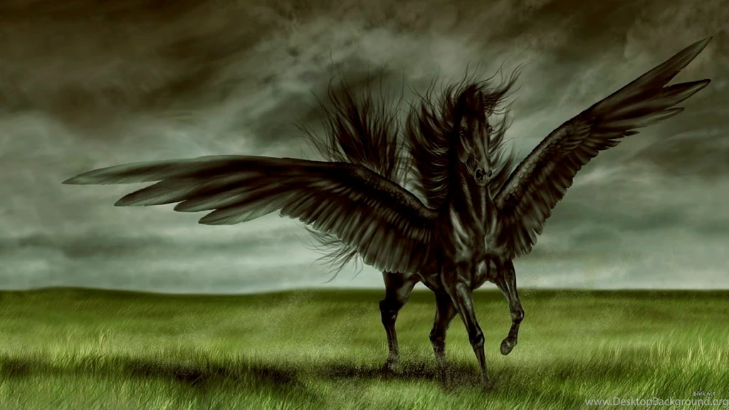 Running Horse HD Wallpapers For Desktop Zibrato
