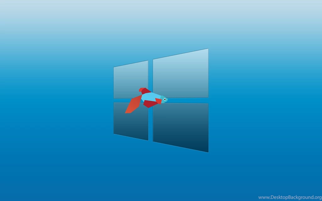 Windows 8