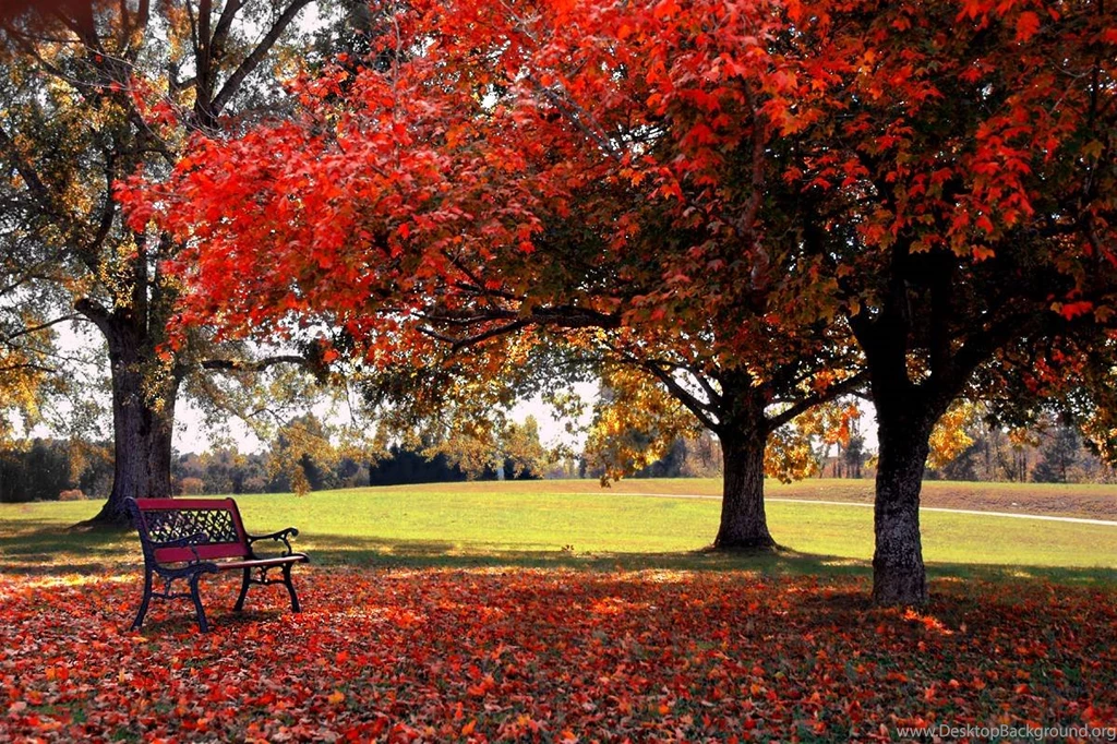 Hd Nature Mobile Wallpapers Download