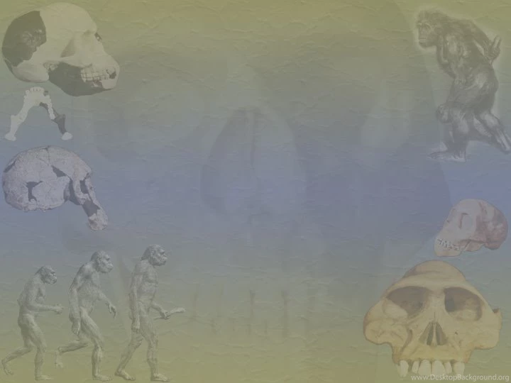 Creation Science PowerPoint Backgrounds