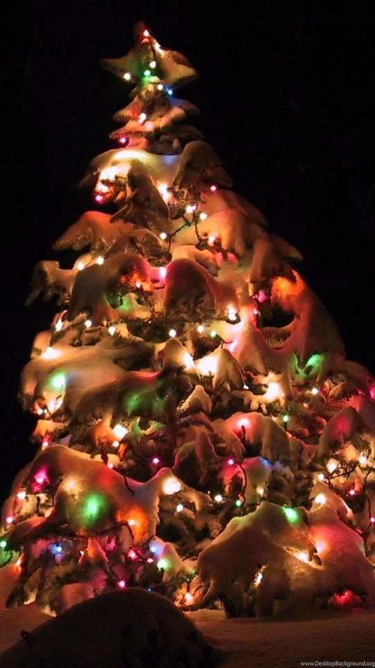 Download Wallpapers 540x960 Christmas Tree, Garland, Snow, Street ...