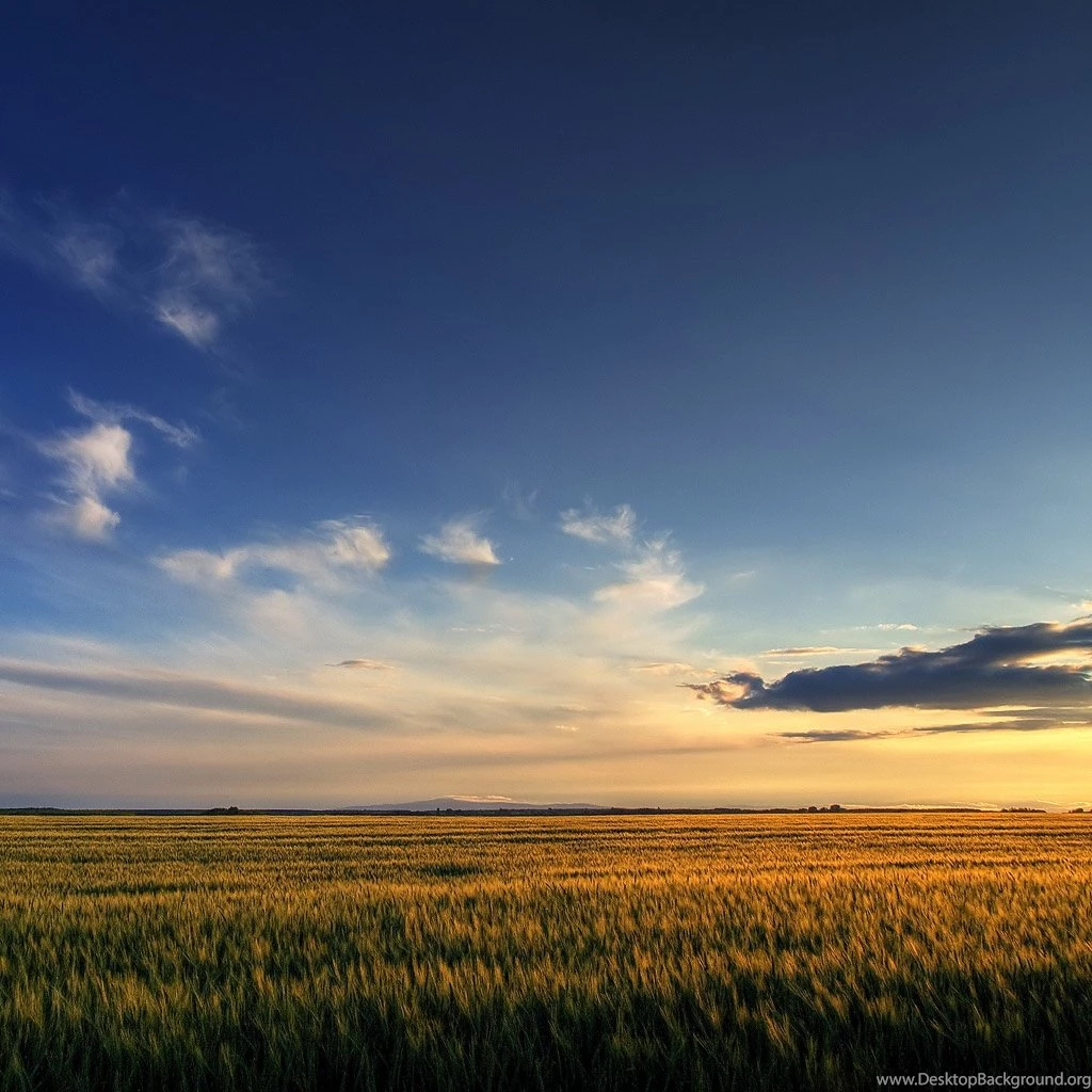 Ipad Ipad2 Hd Quality Backgrounds Picture   Free High Quality ...