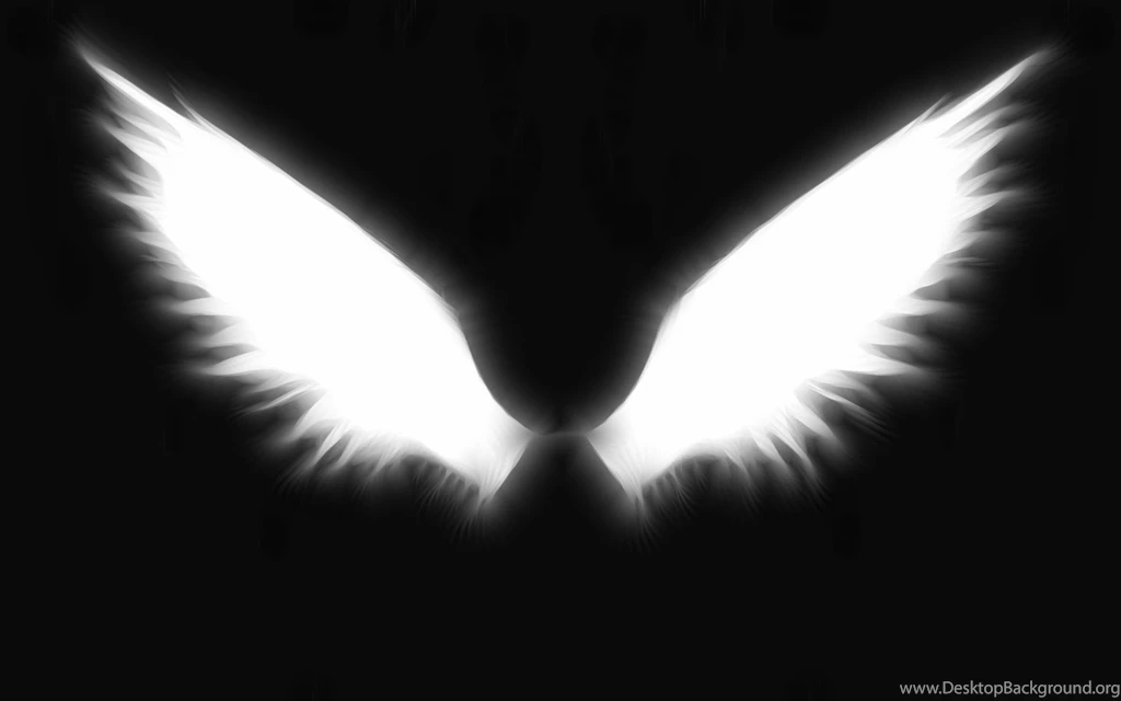 Wings Black Backgrounds Fresh New Hd Wallpapers Best Quality Hd ...