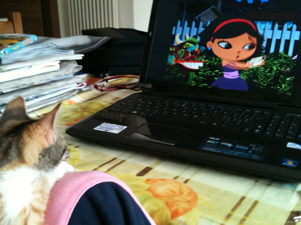 Little Einsteins Even My Cats Likes To Watch The Show (photos ...