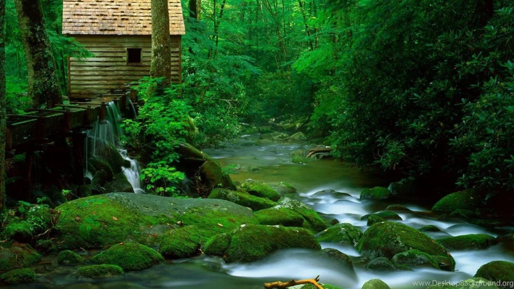 Amazing HD Wallpapers Desktop Nature