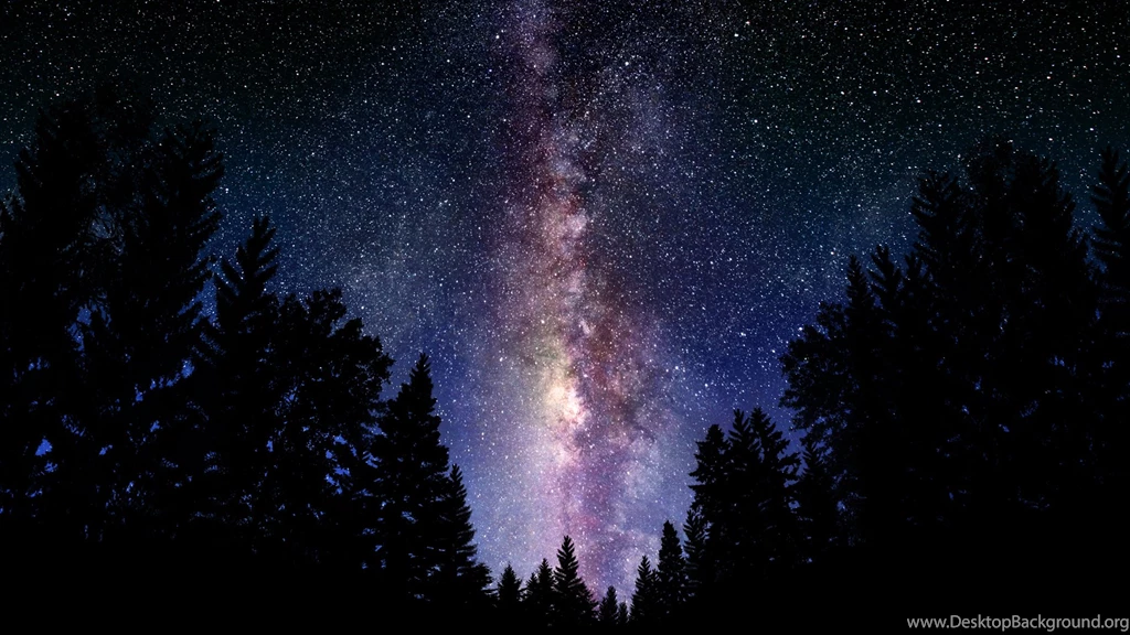 We Are Made Of Star Stuff — Pilgrimkitty: Littlekittenluna ...